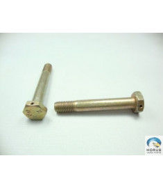 Bolt/Parafuso/Tornillo