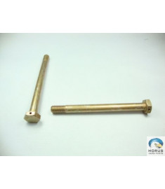 Bolt/Parafuso/Tornillo