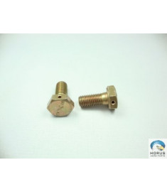 Bolt/Parafuso/Tornillo