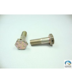 Bolt/Parafuso/Tornillo
