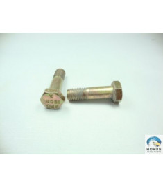 Bolt/Parafuso/Tornillo