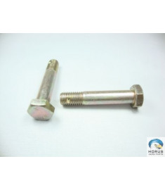 Bolt/Parafuso/Tornillo