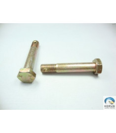 Bolt/Parafuso/Tornillo