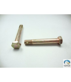 Bolt/Parafuso/Tornillo