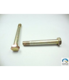 Bolt/Parafuso/Tornillo