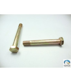Bolt/Parafuso/Tornillo