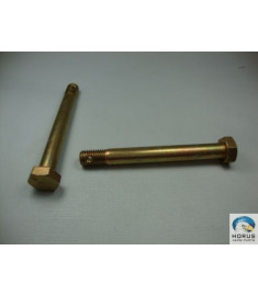 Bolt/Parafuso/Tornillo