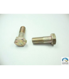 Bolt/Parafuso/Tornillo