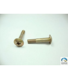 Screw/Parafuso/Tornillo