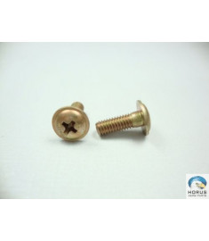 Screw/Parafuso/Tornillo