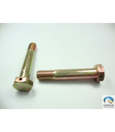 Screw/Parafuso/Tornillo