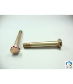 Screw/Parafuso/Tornillo