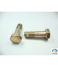 Screw/Parafuso/Tornillo
