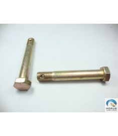 Screw/Parafuso/Tornillo