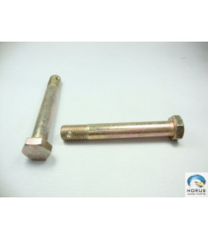 Screw/Parafuso/Tornillo