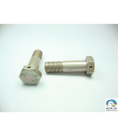 Screw/Parafuso/Tornillo