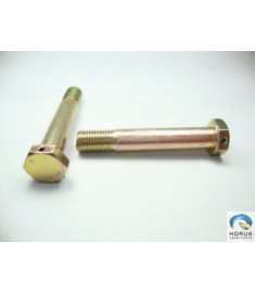Screw/Parafuso/Tornillo