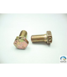 Screw/Parafuso/Tornillo