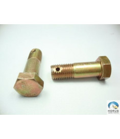 Screw/Parafuso/Tornillo