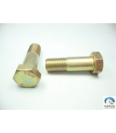 Screw/Parafuso/Tornillo