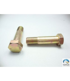 Screw/Parafuso/Tornillo