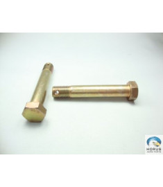 Screw/Parafuso/Tornillo