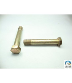 Screw/Parafuso/Tornillo