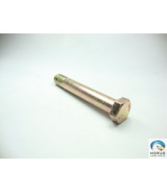 Screw/Parafuso/Tornillo