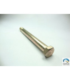Screw/Parafuso/Tornillo