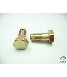 Screw/Parafuso/Tornillo