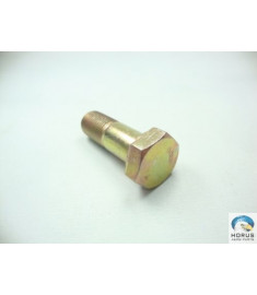 Screw/Parafuso/Tornillo