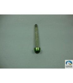 Bolt/Parafuso/Tornillo