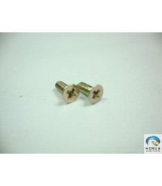 Screw/Parafuso/Tornillo