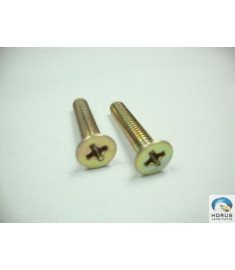 Screw/Parafuso/Tornillo
