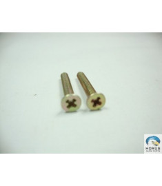 Screw/Parafuso/Tornillo