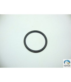 O-ring/Anel de vedação/Anillo de Sello