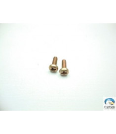 Screw/Parafuso/Tornillo