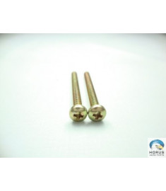 Screw/Parafuso/Tornillo