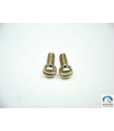 Screw/Parafuso/Tornillo
