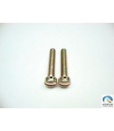 Screw/Parafuso/Tornillo
