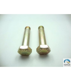 Bolt/Parafuso/Tornillo