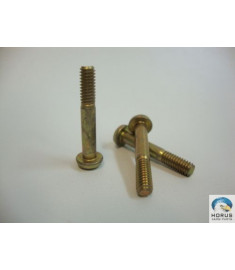 Screw/Parafuso/Tornillo