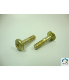 Screw/Parafuso/Tornillo