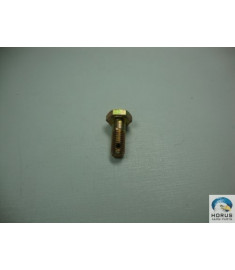 Bolt/Parafuso/Tornillo