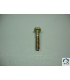 Bolt/Parafuso/Tornillo