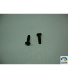 Screw/Parafuso/Tornillo