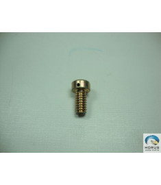 Screw/Parafuso/Tornillo
