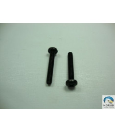 Screw/Parafuso/Tornillo