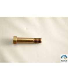 Bolt/Parafuso/Tornillo