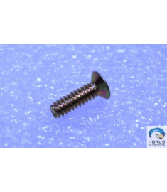 Screw/Parafuso/Tornillo